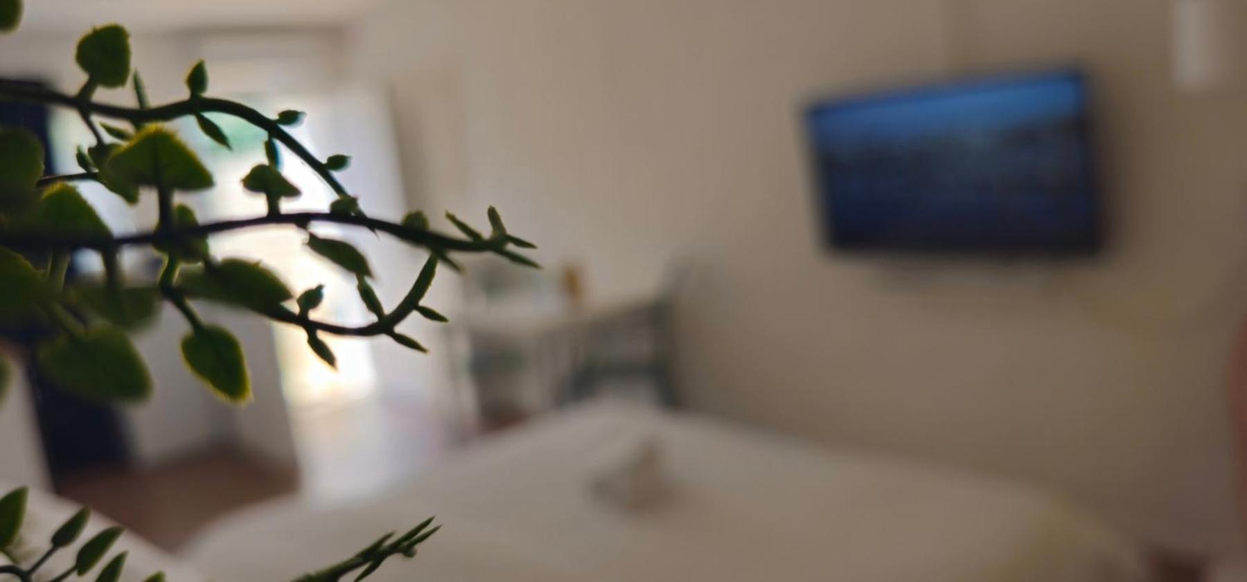 Kadenca Apartment Umag Phòng bức ảnh